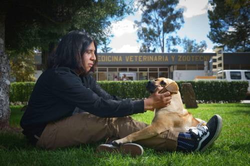 Video: Alfredo Martínez, estudiante UAEMéx, rehabilita conductas caninas reforzadas por el ser humano
